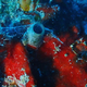 A sea dick and its mucus web (Image: Rüdiger Bieler)